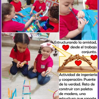 26060105sem1d4p1d3imagen07d10