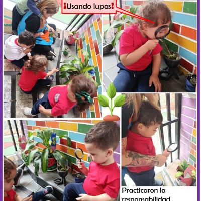 26060105sem1d4p2d3imagen08d10