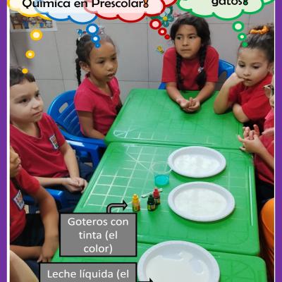 2609s3d3post2d3imagen06d10