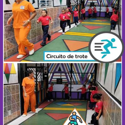 2609s3d3post3d3imagen09d10
