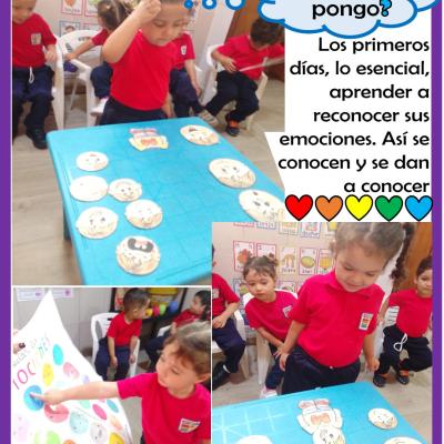 2609sem1d3post1d3imagen07d10