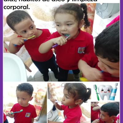 2609sem1d3post2d3imagen08d10