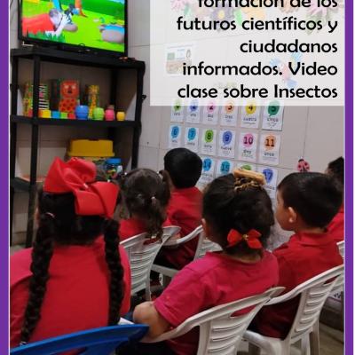 2609sem1d3post3d3imagen05d10